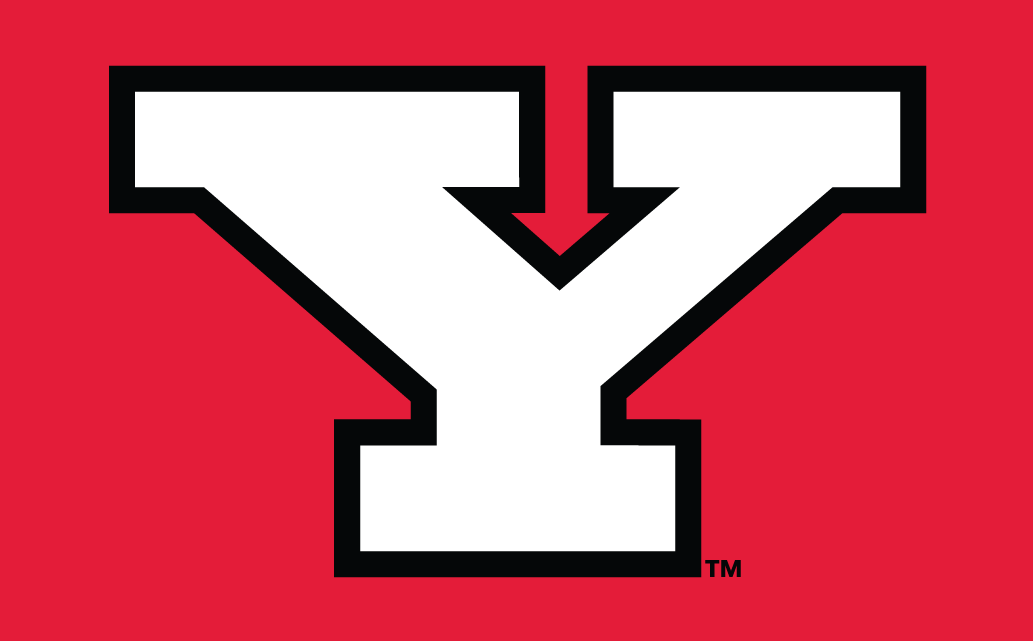 Youngstown State Penguins 1993-Pres Alternate Logo vinyl decal